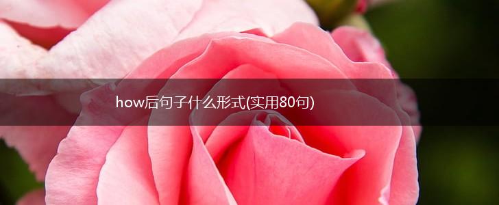 how后句子什么形式(实用80句),第1张