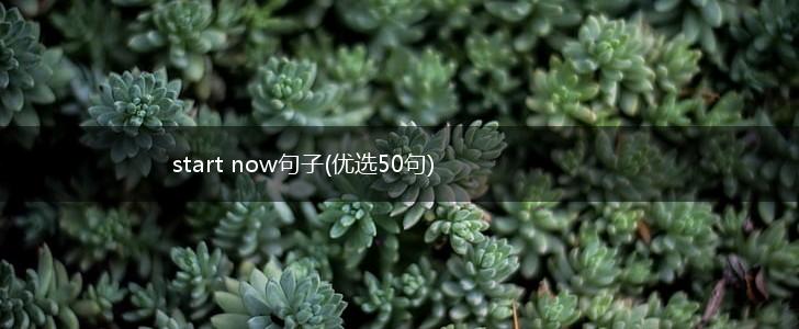 start now句子(优选50句),第1张