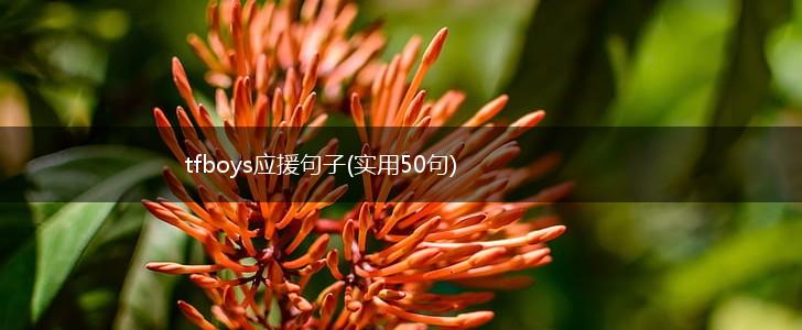 tfboys应援句子(实用50句),第1张