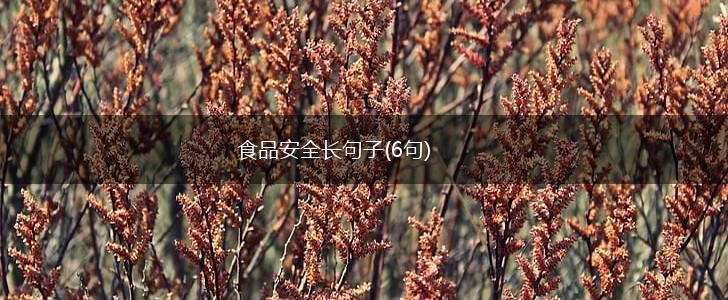 食品安全长句子(6句),第1张
