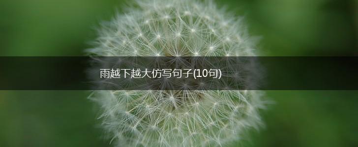 雨越下越大仿写句子(10句),第1张