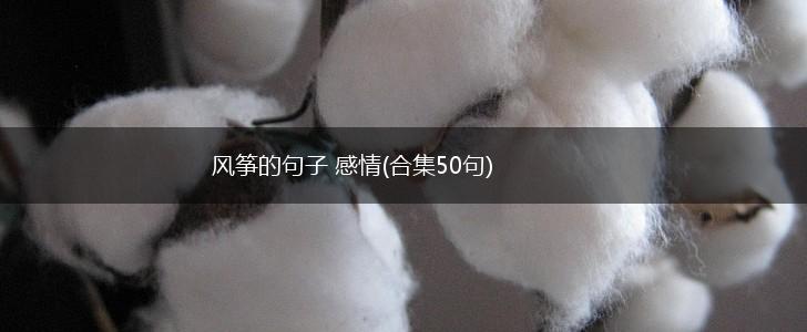 风筝的句子 感情(合集50句),第1张