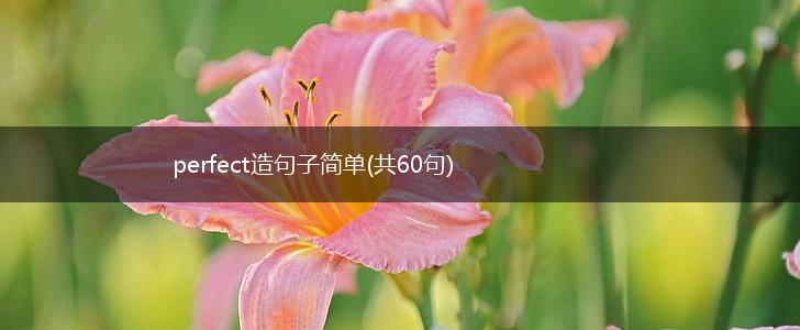 perfect造句子简单(共60句),第1张