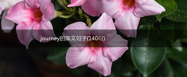 journey的英文句子(140句),第1张