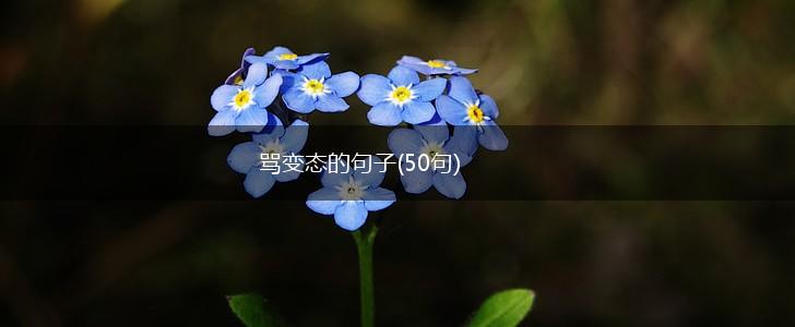 骂变态的句子(50句),第1张