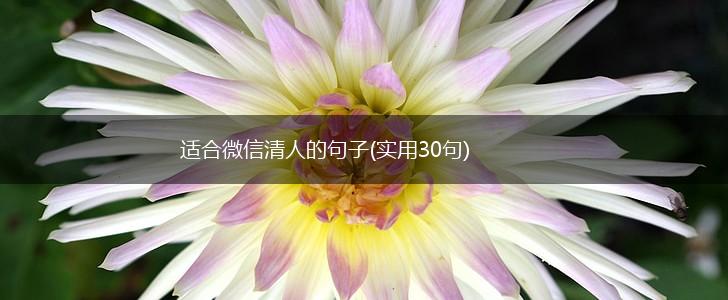 适合微信清人的句子(实用30句),第1张