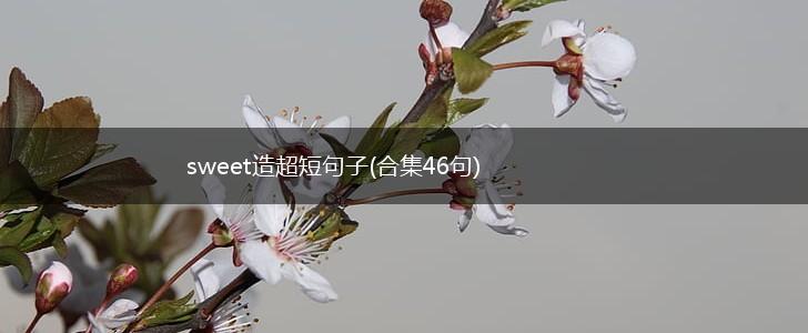 sweet造超短句子(合集46句),第1张