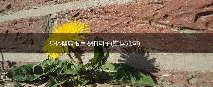 身体健康很重要的句子(推荐51句),第1张