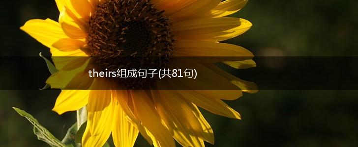 theirs组成句子(共81句),第1张