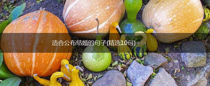 适合公布结婚的句子(精选10句),第1张