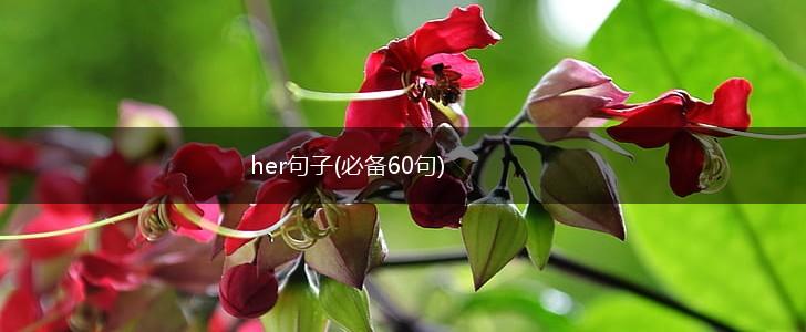 her句子(必备60句),第1张