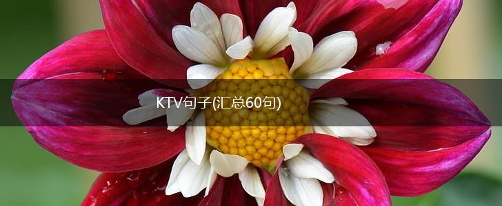 KTV句子(汇总60句),第1张