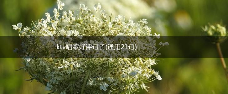 ktv唱歌好评句子(通用21句),第1张