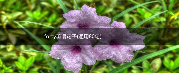 forty英语句子(通用80句),第1张