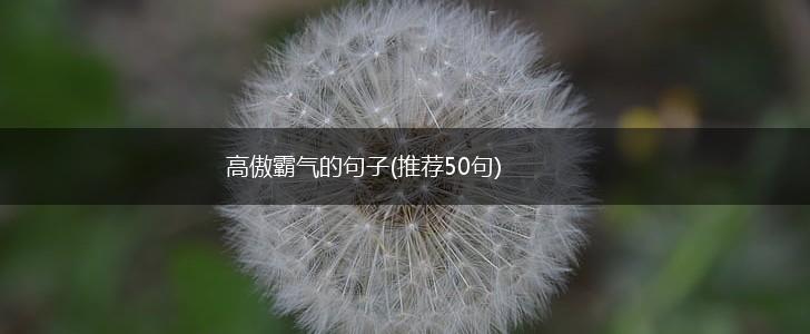高傲霸气的句子(推荐50句),第1张
