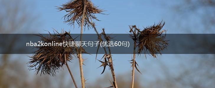 nba2konline快捷聊天句子(优选60句),第1张