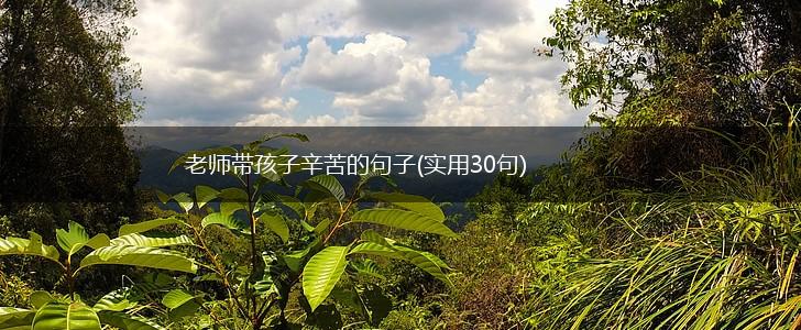 老师带孩子辛苦的句子(实用30句),第1张