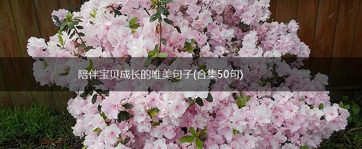 陪伴宝贝成长的唯美句子(合集50句),第1张