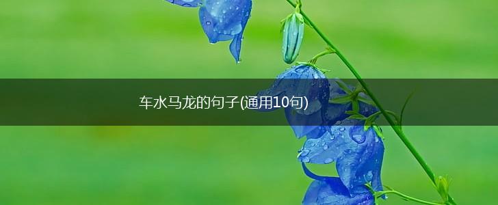 车水马龙的句子(通用10句),第1张