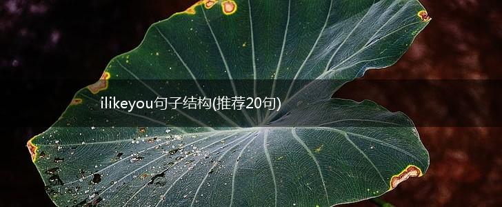 ilikeyou句子结构(推荐20句),第1张