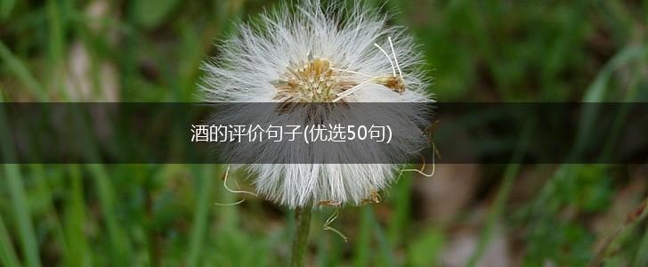 酒的评价句子(优选50句),第1张