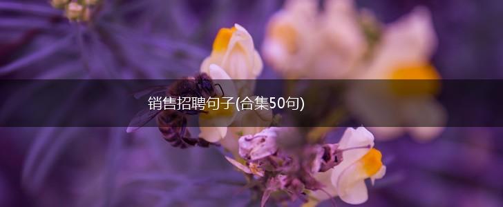销售招聘句子(合集50句),第1张