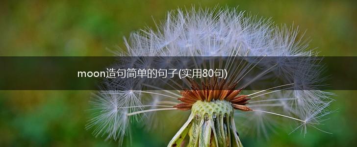 moon造句简单的句子(实用80句),第1张