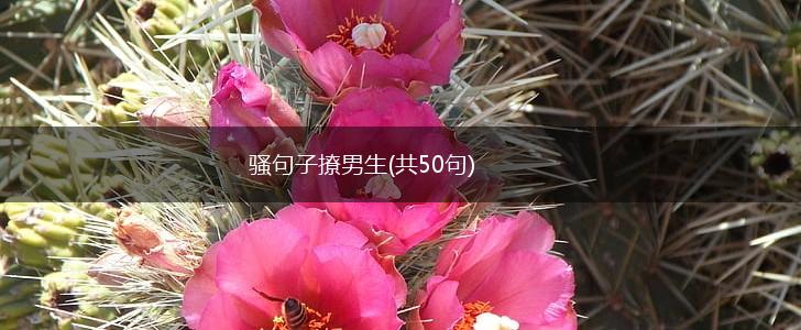 骚句子撩男生(共50句),第1张
