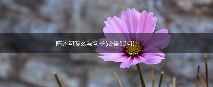 陈述句怎么写句子(必备52句),第1张