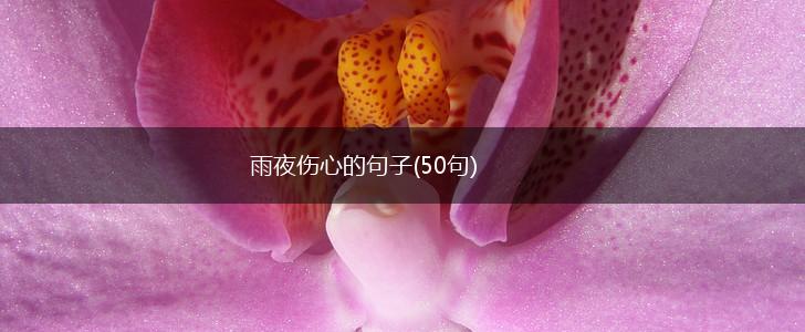 雨夜伤心的句子(50句),第1张