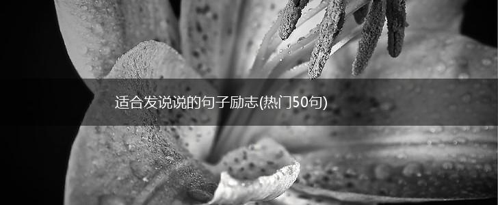 适合发说说的句子励志(热门50句),第1张