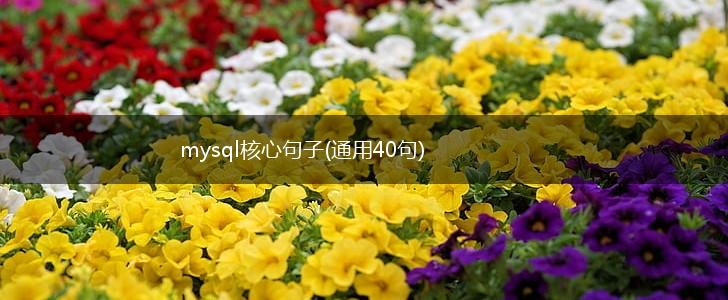 mysql核心句子(通用40句),第1张