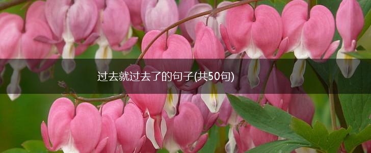 过去就过去了的句子(共50句),第1张