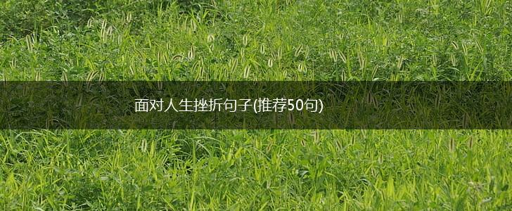 面对人生挫折句子(推荐50句),第1张