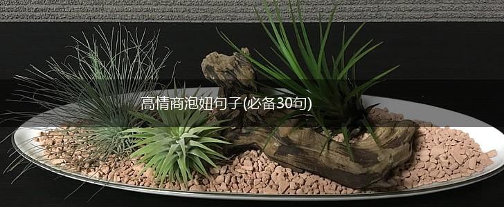 高情商泡妞句子(必备30句),第1张