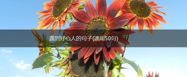 遇到好心人的句子(通用50句),第1张