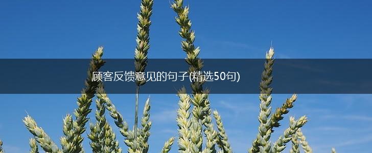 顾客反馈意见的句子(精选50句),第1张