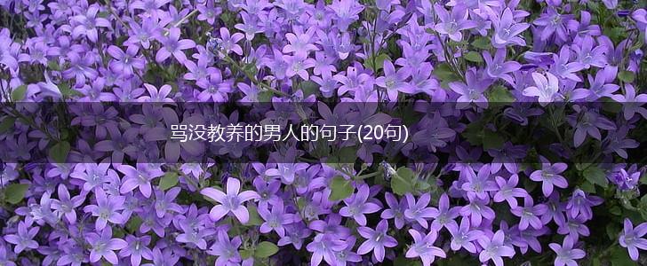 骂没教养的男人的句子(20句),第1张