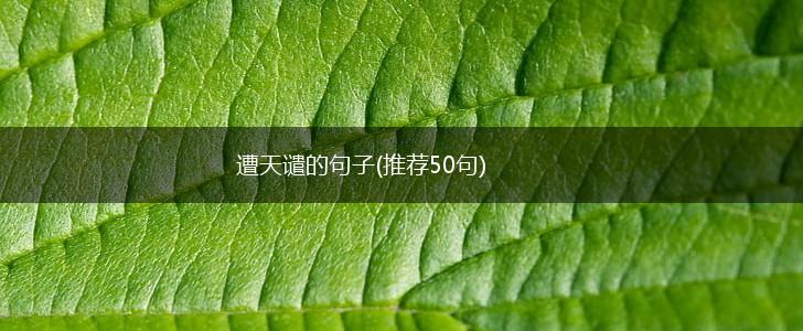 遭天谴的句子(推荐50句),第1张