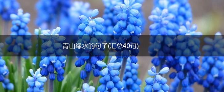 青山绿水的句子(汇总40句),第1张