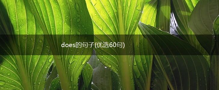 does的句子(优选60句),第1张