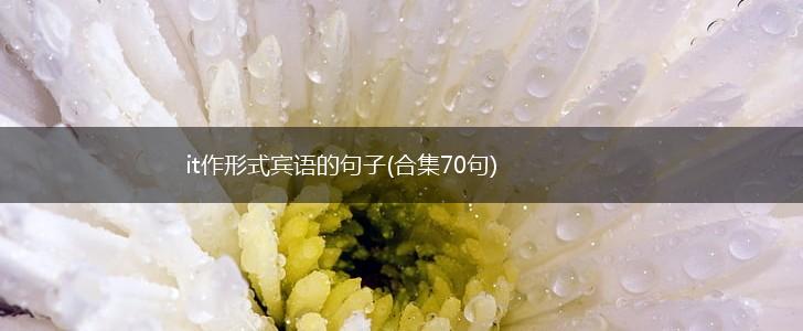 it作形式宾语的句子(合集70句),第1张