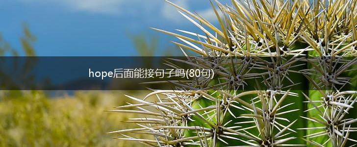 hope后面能接句子吗(80句),第1张