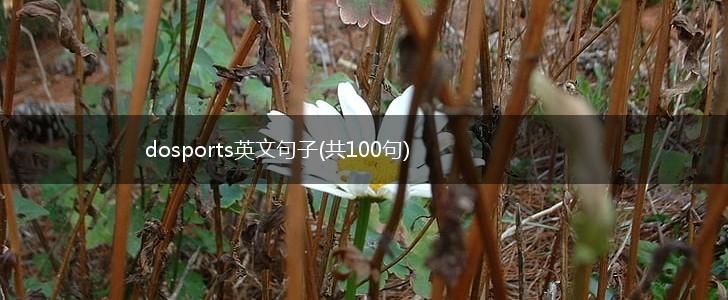 dosports英文句子(共100句),第1张