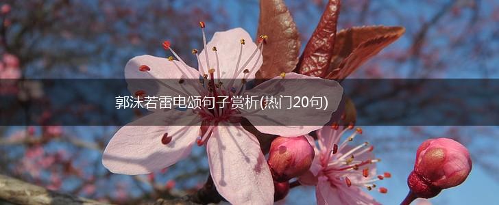 郭沫若雷电颂句子赏析(热门20句),第1张