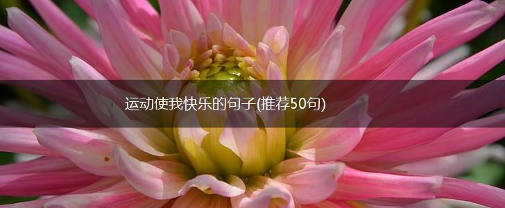 运动使我快乐的句子(推荐50句),第1张