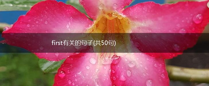 first有关的句子(共50句),第1张