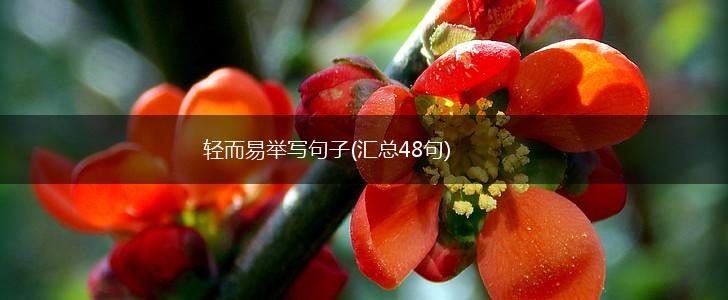 轻而易举写句子(汇总48句),第1张