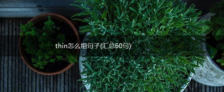 thin怎么组句子(汇总60句),第1张
