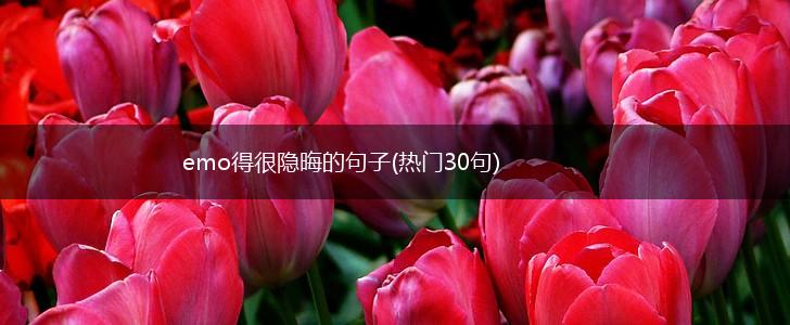 emo得很隐晦的句子(热门30句),第1张